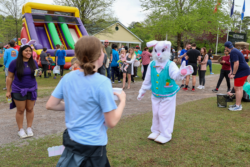 5k Photos SD 2022 1056 1