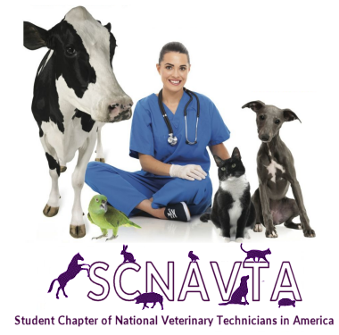 VET Tech Club Page