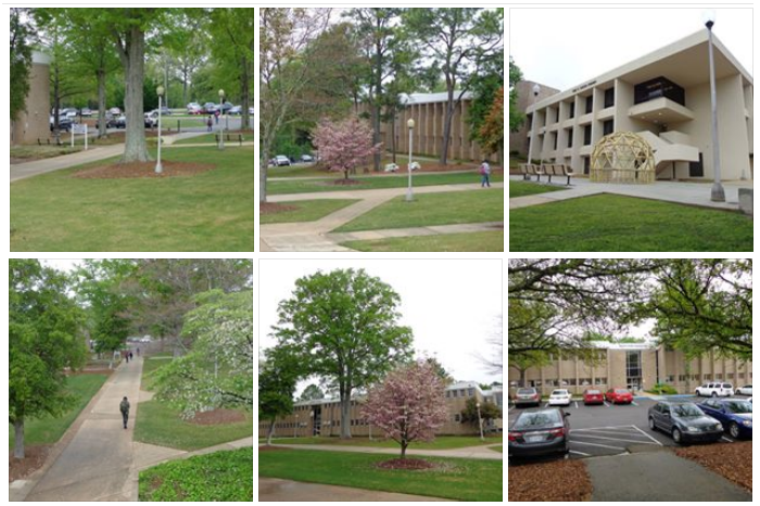 Jefferson Campus Collage