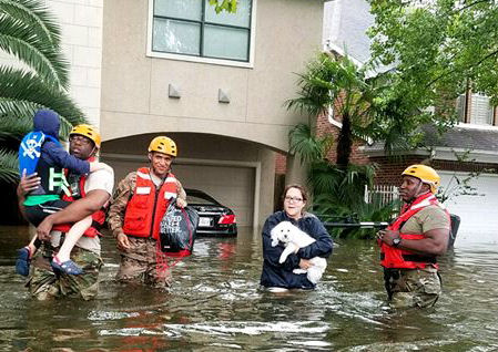 Hurricaine Donations