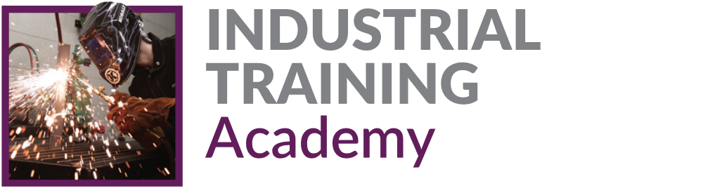 Industrial Training Icon2