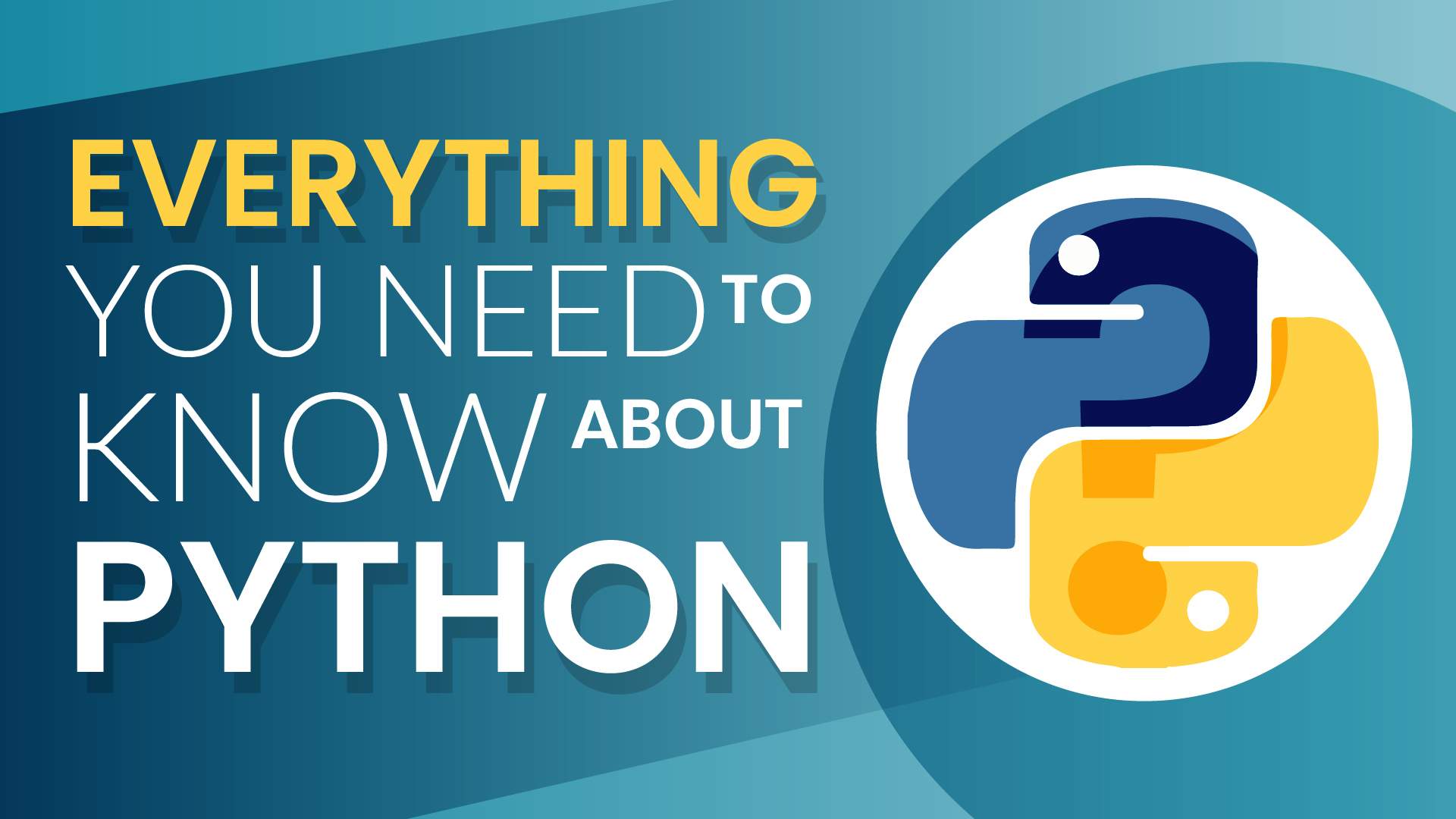 python everything you should know