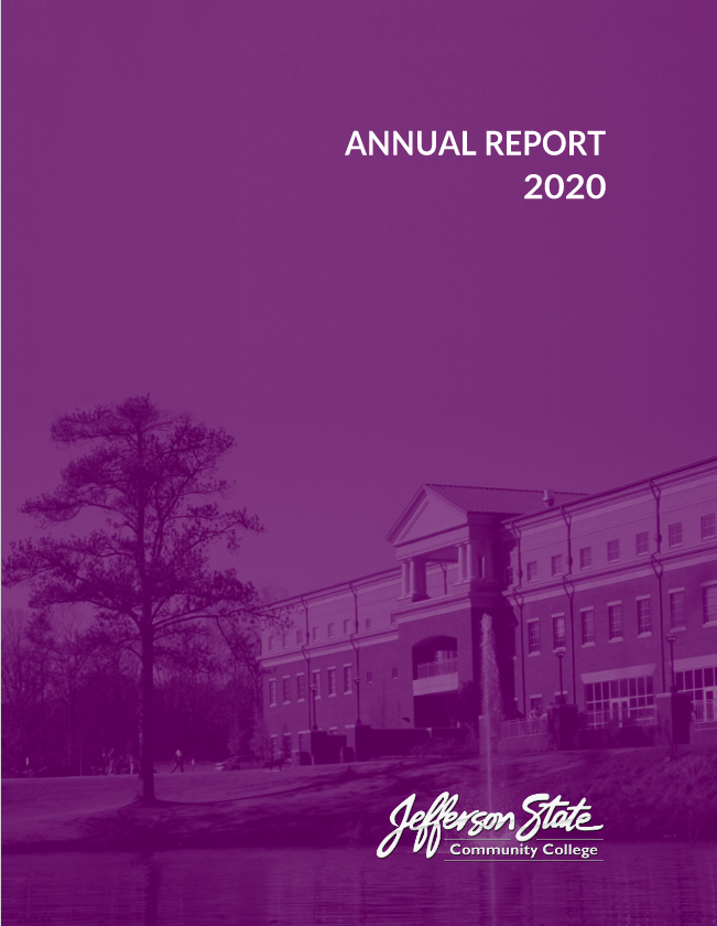 Annual Report Icon 2020