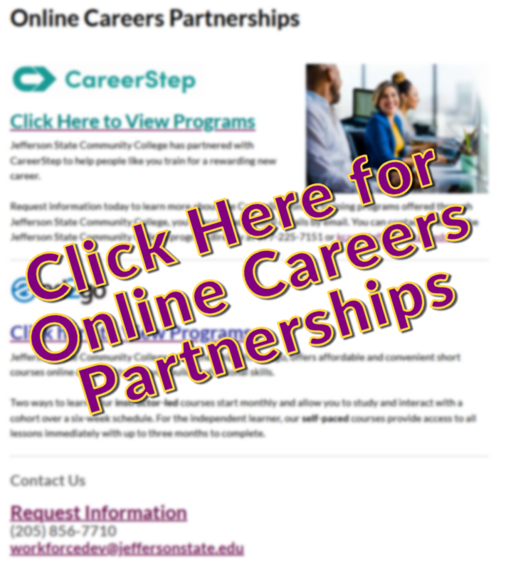 Online Career Partnerships