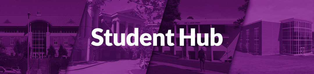 1080 Student Hub Banner