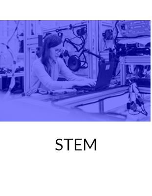 Meta Major STEM Image