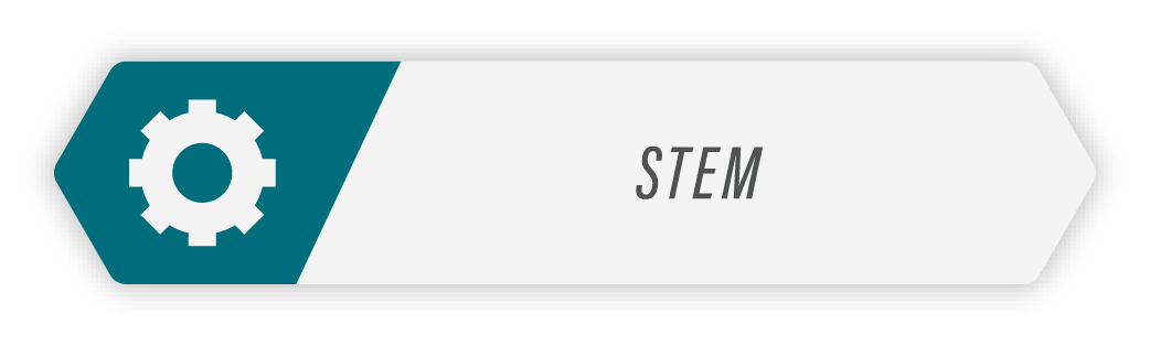 Stem Button