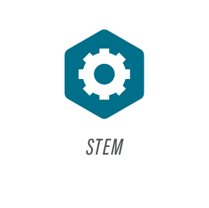 Stem IconButton