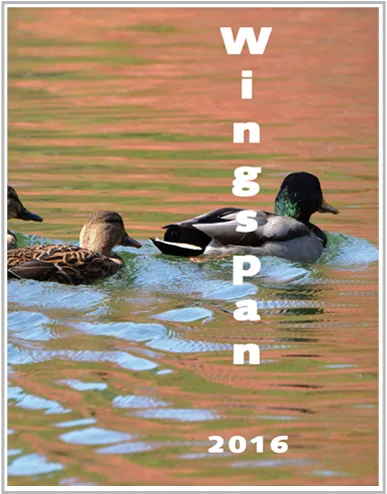 Wingspan 2016