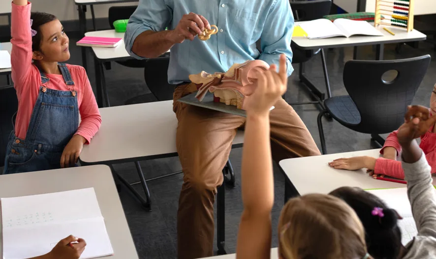 A teacher sits with a group of young students in a classroom, holding a human anatomy model. Several children enthusiastically raise their hands to answer or ask questions.