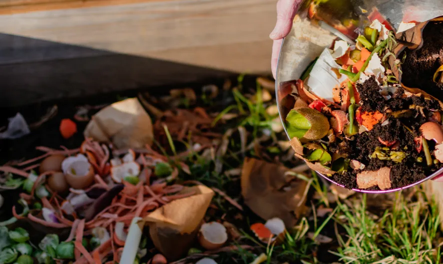 A person dumps a bowl of food scraps, including vegetable peels and eggshells, into a compost bin outdoors, contributing to a pile of organic waste on grass and soil.