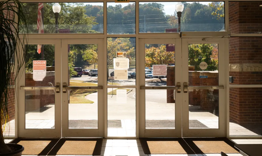 A sunlit view through large glass doors of a building lobby, showing a walkway, trees, parked cars, and outdoor scenery. A bulletin board is on the left and a potted plant is in the foreground.