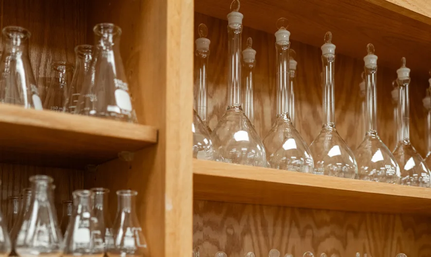 Shelves filled with clean glass laboratory flasks, including Erlenmeyer and volumetric flasks, neatly arranged and ready for use in a wooden cabinet.