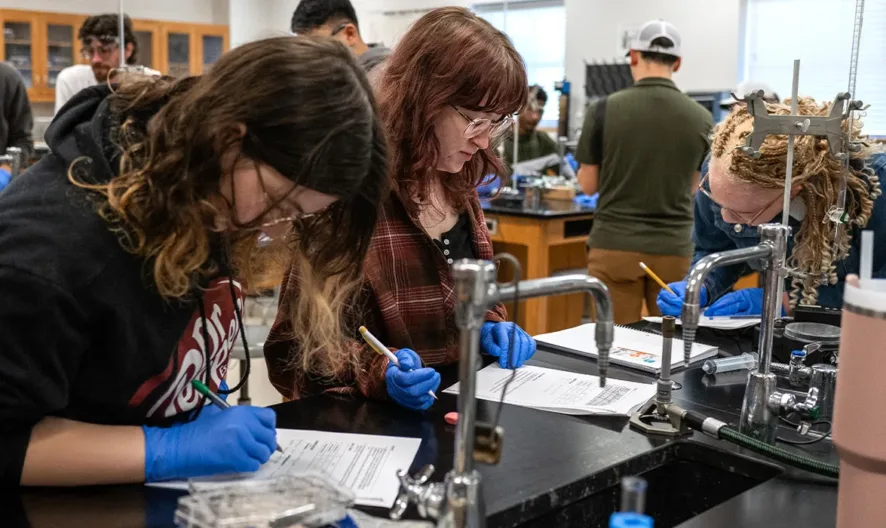 Students working on a lab exercise.