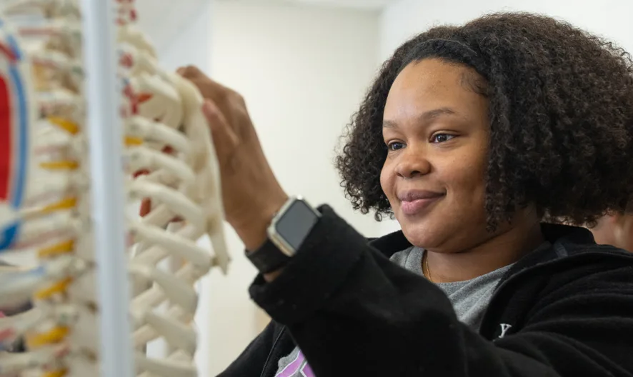 A person wearing a black jacket examines a colorful anatomical skeleton model in a classroom or laboratory setting.