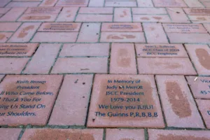 Brick from JSCC Brick Campaign