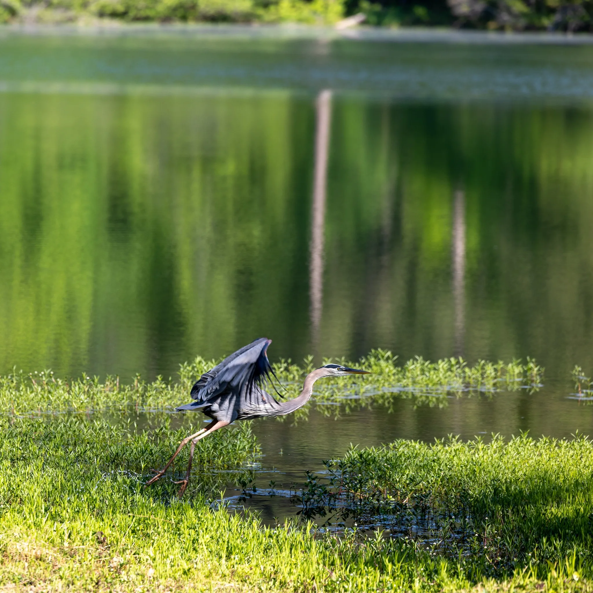 Don’t Drop It On Alabama” 2026 Spring Cleanup