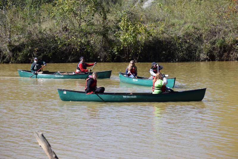 CleanHomeAL 2019 0067