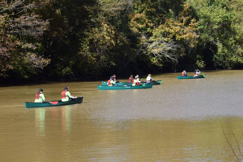 CleanHomeAL 2019 0168